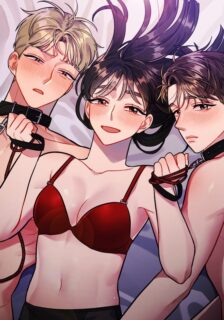 No Holes Barred cover image on Oppai.Stream, read latest manhwa for FREE!